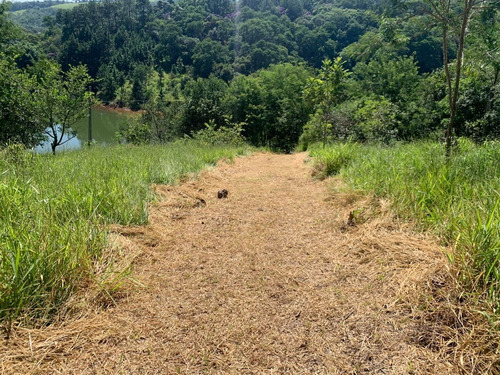 Imagem 5 de 24 de Ds-vendo Um Terreno De 600m2