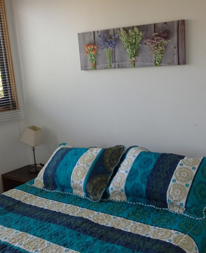Imagen 3 de 15 de Casa En Maitencillo - Disponible Desde Marzo 2023