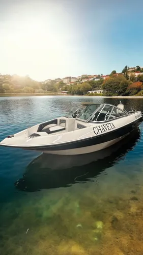 Lancha Map 480 2017 Evinrude 50 Etec