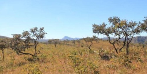 Fazenda De Cerrado 