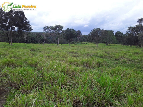 Imagem 15 de 15 de Fazenda Á Venda Em Recursolândia - Ms - 1.132 Hectares (pecuária) - 2188