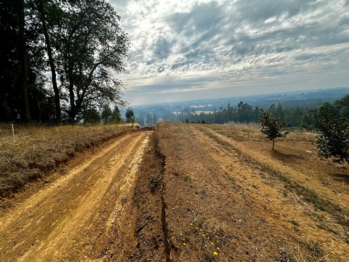 Excelente Campo De 160 Has / Cuarta Faja Gorbea