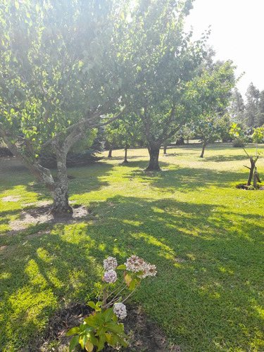 Vendo Chalet Sobre 2 Lotes En Barrio Colinas Verdes - Amplio Parque - Piscina - Quincho