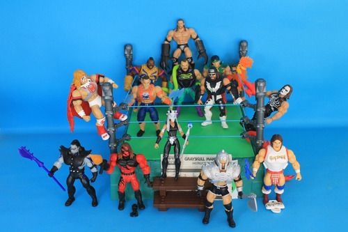 Sting Wwe Masters Of The Universe (Usado)
