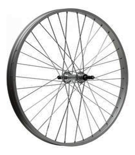 Rueda Para Bicicleta R20 36h Front Bicimex