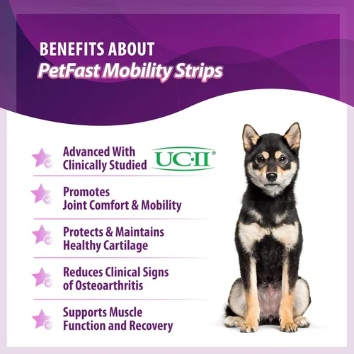 Tiras De Movilidad De Petfast Para Cadera Y Articulación De