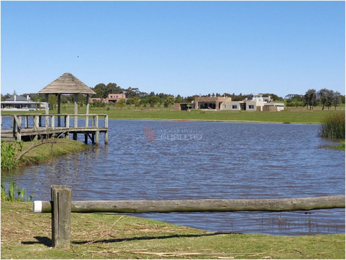 Imagen 2 de 10 de Chacra - Punta Del Este
