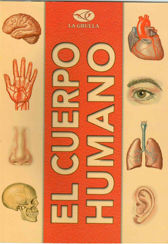 Cuerpo Humano, El