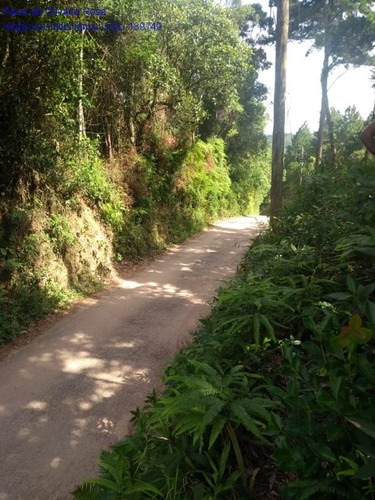 Imagem 2 de 9 de Terreno - Te00046 - 69207640