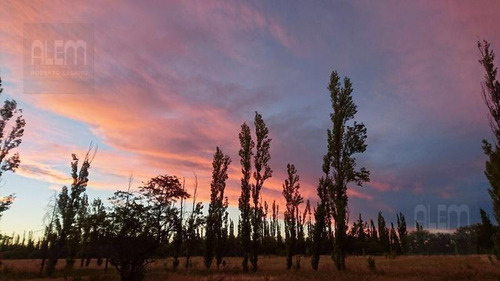 Imagen 8 de 10 de Campo - Valcheta