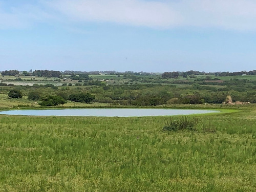 Campo De 73 Hás En Venta En San José, Al Límite Con Colonia.