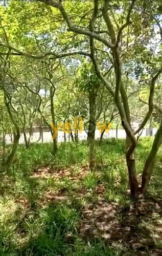 Imagem 3 de 5 de Terreno - Aralu - Te-3514