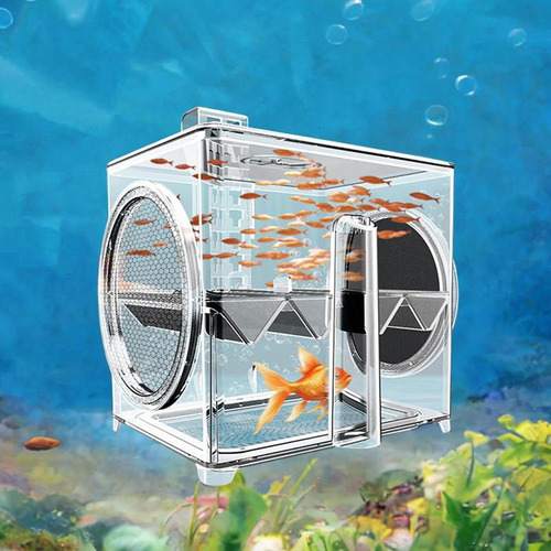 Caja De De Peces Aquarium Caja De Alimentación De Acuarios