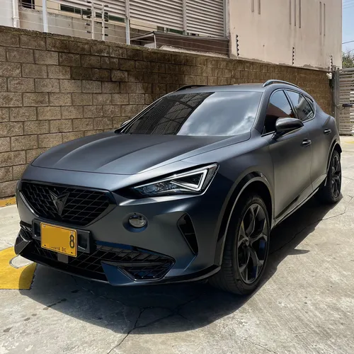 Cupra formentor 2.0 Tsi Mate Dsg