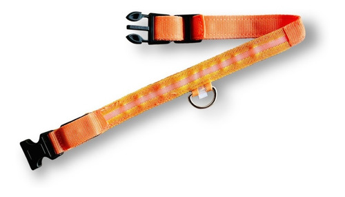 Collar Regulable Luminoso Luz Led Para Perros 