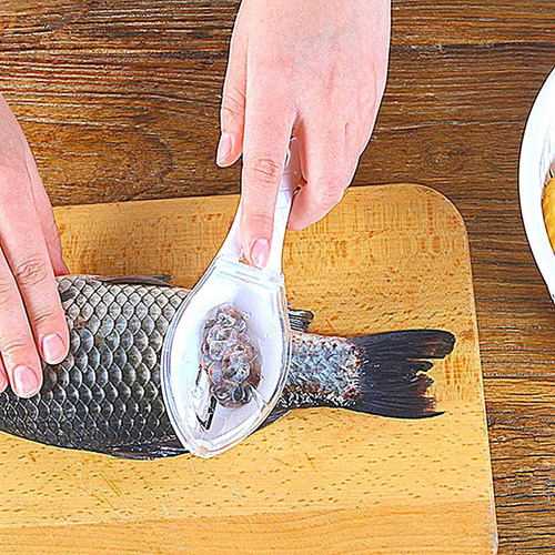 Imagem 3 de 5 de Descamador Escamador De Peixe Com Reservatorio Profissional