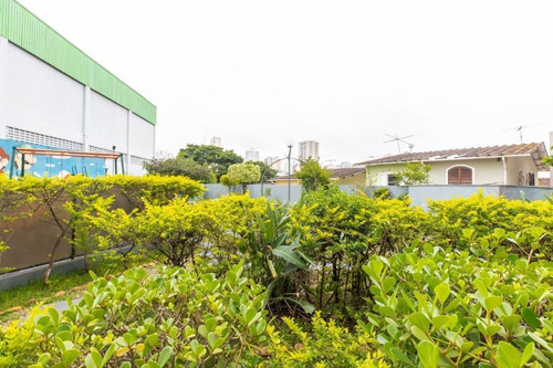 Imagem 22 de 30 de Apartamento - Ap02405 - 71046784