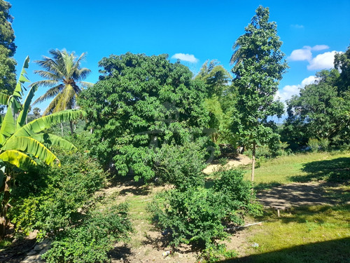 Finca Disponible, Casa Principal, Local Comercial, Casa De Capataz Y Gran Terreno Sembrado De Plátanos, Yuca, Naranjas Y Otros (jpc-232)