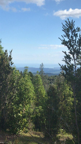 Parcela En Venta En Puerto Varas