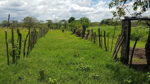 Te Vendo Hermosa Finca En Esperanza Provincia Valverde.