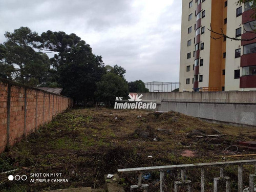 Imagem 6 de 11 de Terreno À Venda, 900 M² Por R$ 1.200.000,00 - Centro - Pinhais/pr - Te0069
