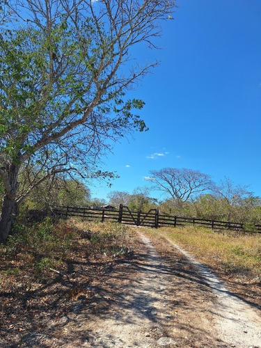 Terreno En Venta En La Mejor Zona Ganadera Del Estado De Yuc