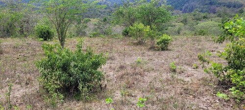 Vendo Lote Con Agua Y Energia A 5 Minutos De Ruta Al Sol Guaduas Cundinamarca Listo Para Construir