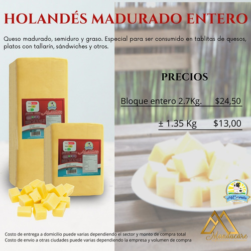 Queso Cheddar Americano - Domicilio Quito- Envio Provincias