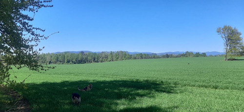 Se Vende Predio Agrícola Y Ganadero De 40 Hectáreas En Futro
