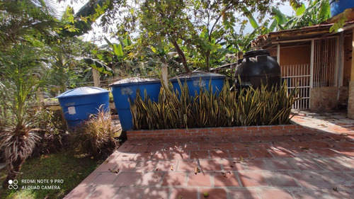 Imagen 14 de 14 de Venta Mini Granjas La Consolacion Pozo Planta Cod. 164898 Cesar Laurentin