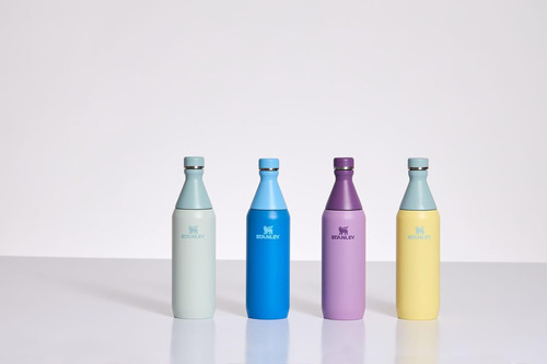 Botella Stanley Slim All Day 20 A 34 Oz Acero Pomelo