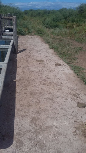 Imagen 29 de 30 de Se Vende Campo En Cordoba Listo Para Trabajarlo