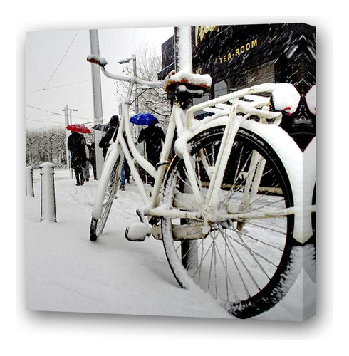 Cuadro 20x20 Cm Bicicleta Transporte Invierno Winter Ice P5