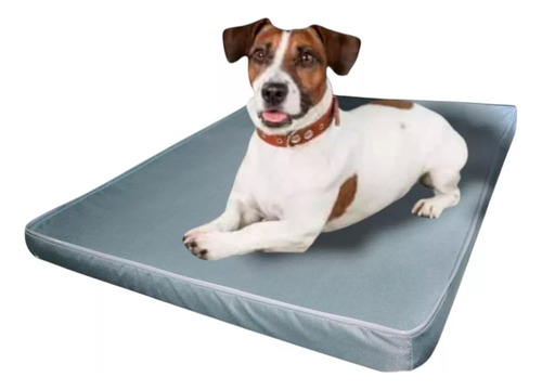 Colchão Colchonete Ortopédico Pet Impermeável Tam G 1.00x80 Cor Cinza Desenho Liso