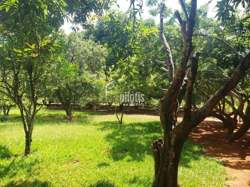 Imagem 2 de 6 de Terreno - Outros - Ref: 837 - V-p1033
