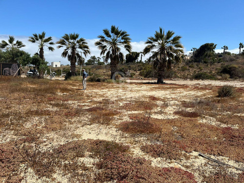Terreno En Las Tacas Para Desarrollo 6.000m2