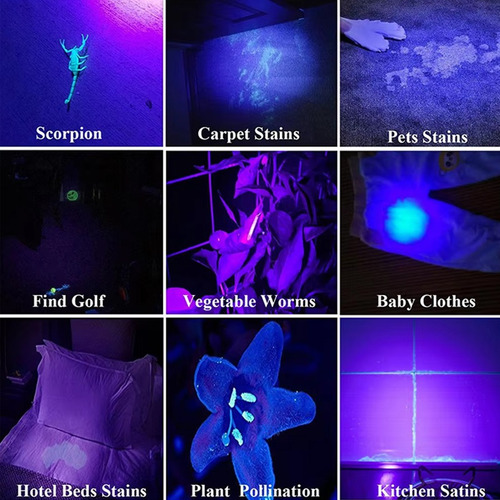 Lámpara De Luz Uv, Mini Linterna De 12 Led, Detector De Rayo