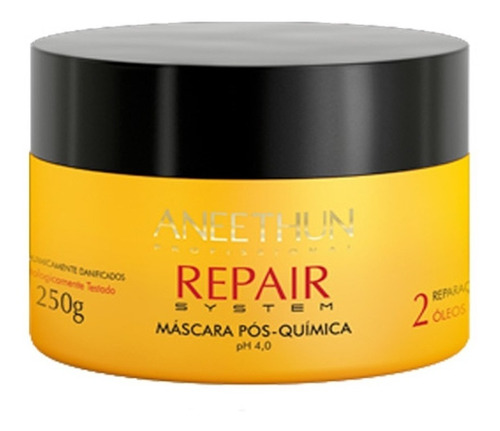 Aneethun Repair System Máscara Pós Quimica 250ml