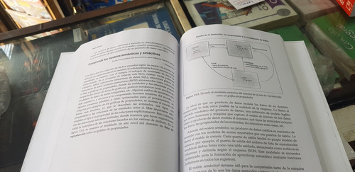 Libro Data Mesh, Entrega De Valor Impulsado Por Los Datos