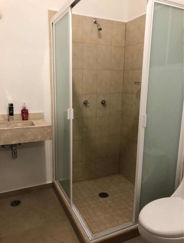 Imagen 10 de 13 de Casa 3 Recámaras, Jardín, Jacuzzi, Áreas Comunes Y Lago