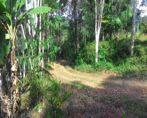Imagem 25 de 26 de Chacara - Ch00044 - 32820347