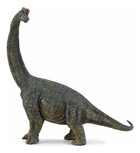 Dinosaurio Collecta figura Vida Brachiosaurus Deluxe D Dns