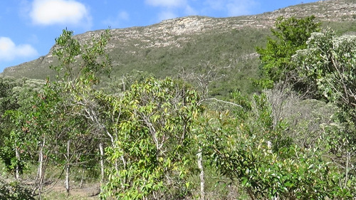 Terreno Vale Do Capão - Chapada Diamantina - 1010 M2 - R$160k - No Centro Do Vilarejo