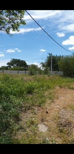 Imagen 5 de 11 de Terrenos Hermanos Residenciales Sobre Río Negro