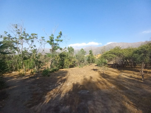 Terreno A La Venta, Santa Sofía Lo Cañas