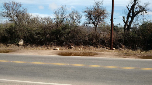 Lote 1.136 M2 Sobre Ruta 14 En Nono