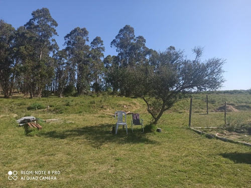 Imagen 7 de 7 de Vendo Linda Chacra, Casa, Monte Sobre Ruta 11 Financio, Consulte!!!!