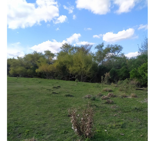 Vendo Muy Lindo Campo Sobre Ruta 33 Casa Todo Alambrado En 4 Potreros, Aguadas