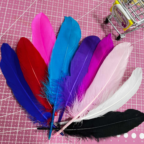 Plumas Decorativas