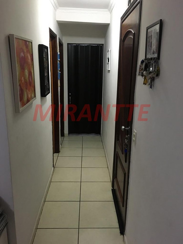 Imagem 5 de 18 de Apartamento Em Limão - São Paulo, Sp - 356590